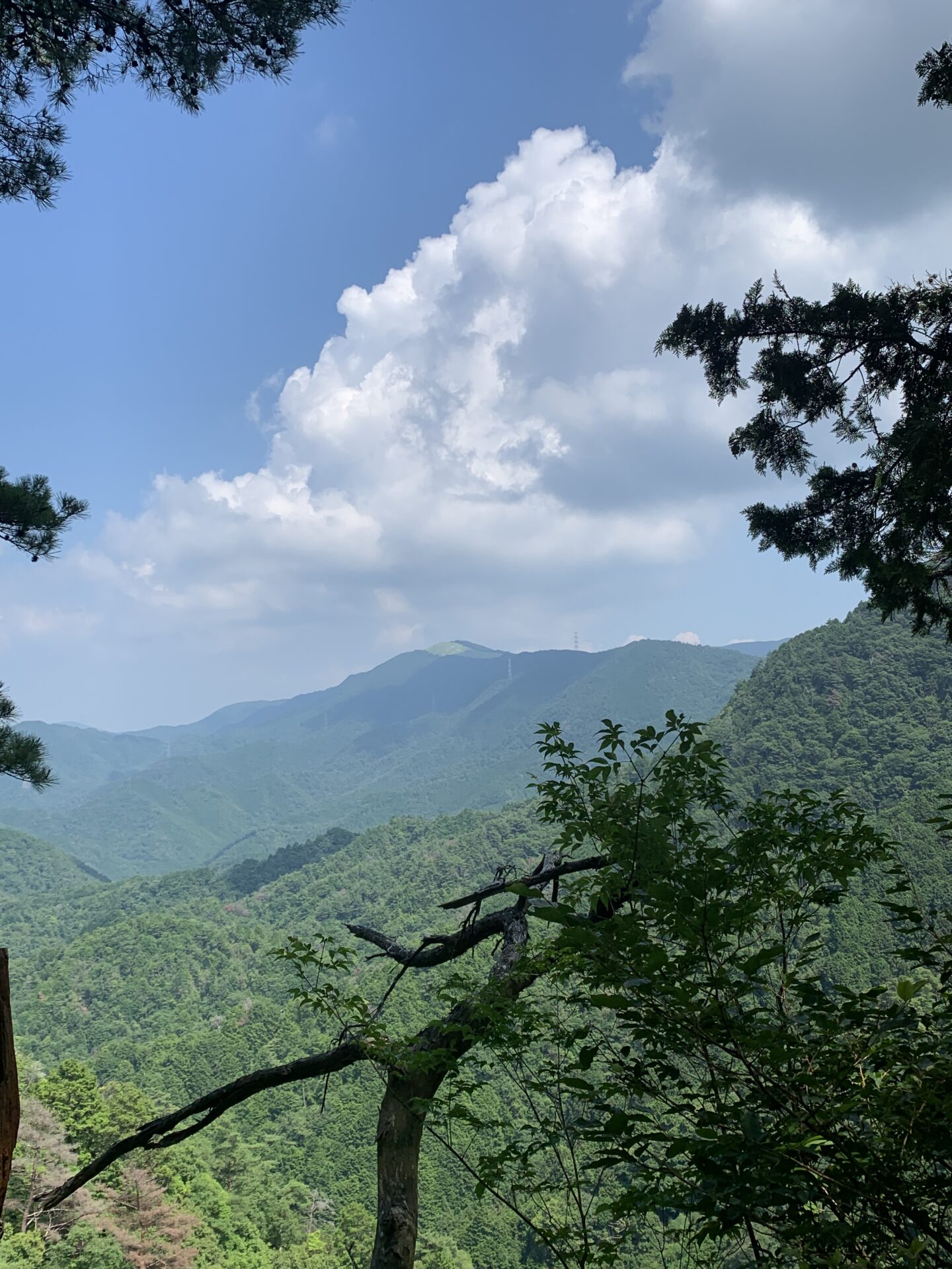 自然の力で心身を整える！　登山のススメ