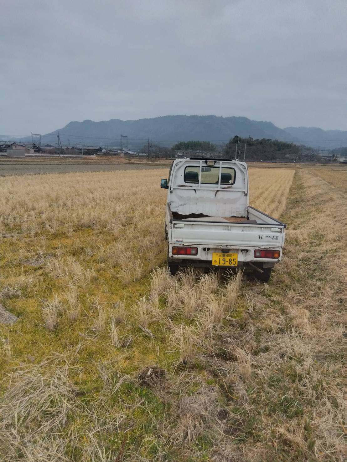 【車と身体って同じだよね🚗】