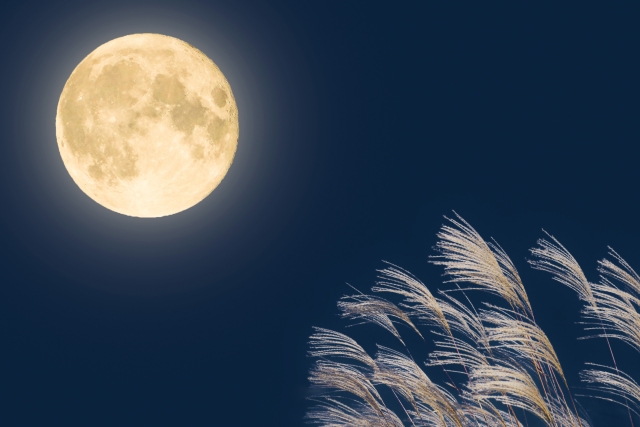 【満月・新月と体調のふしぎ】