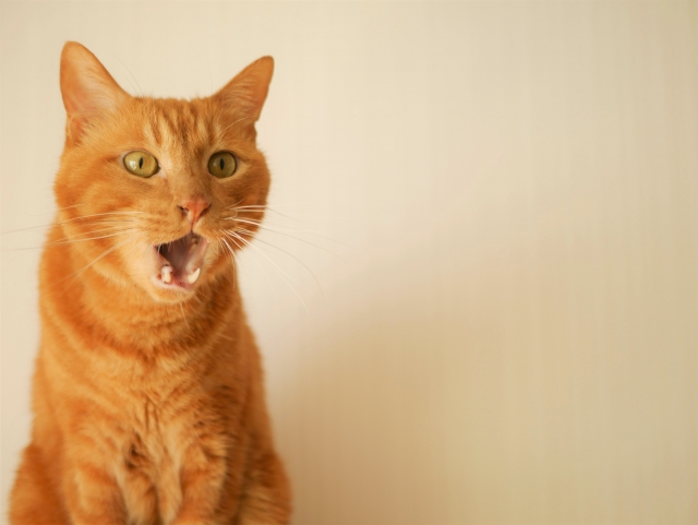 【転んだあとから、足がすくむようになった。その原因は？】