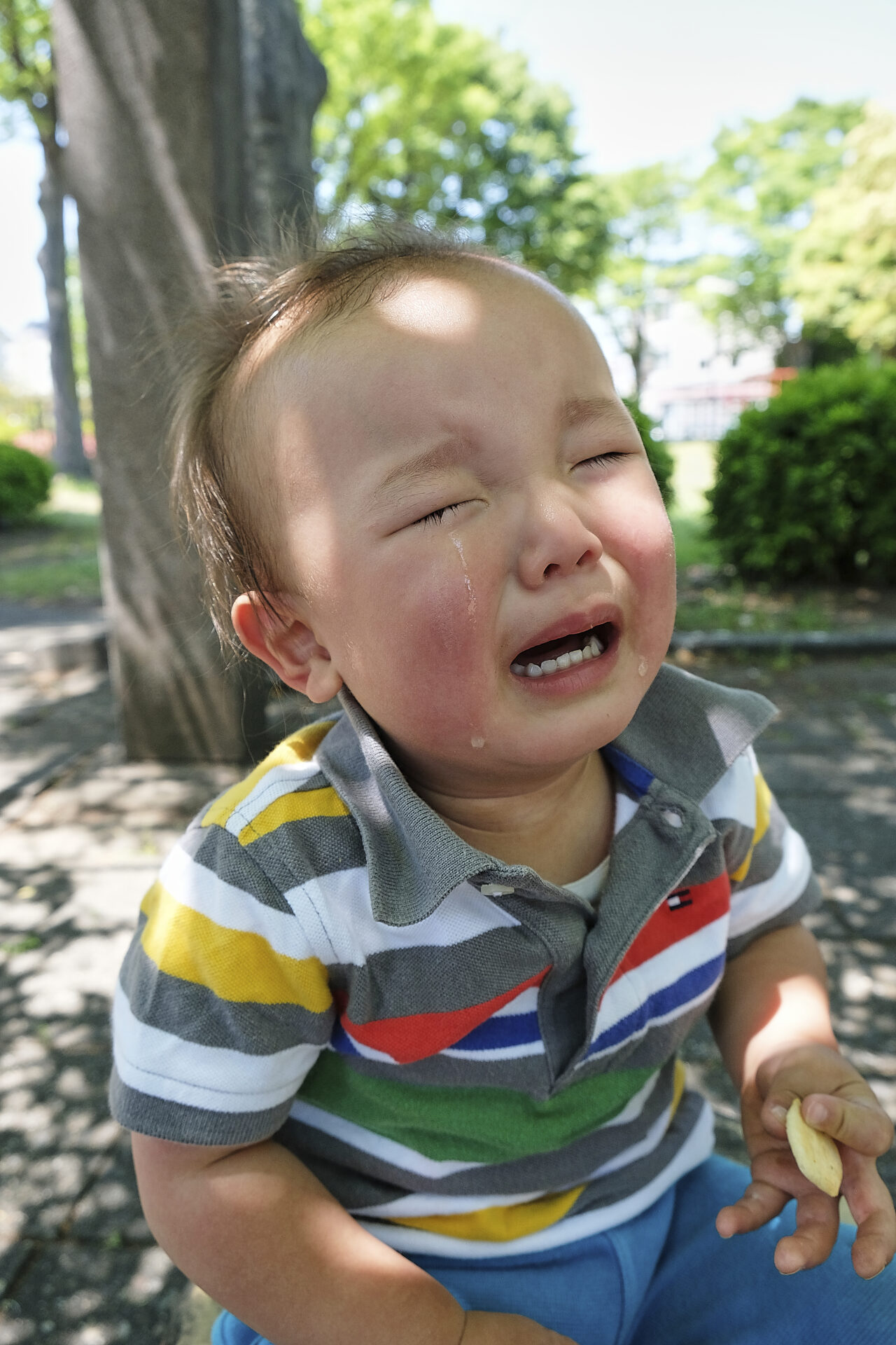 感情を味わい尽くす ― 病は気からの医学③