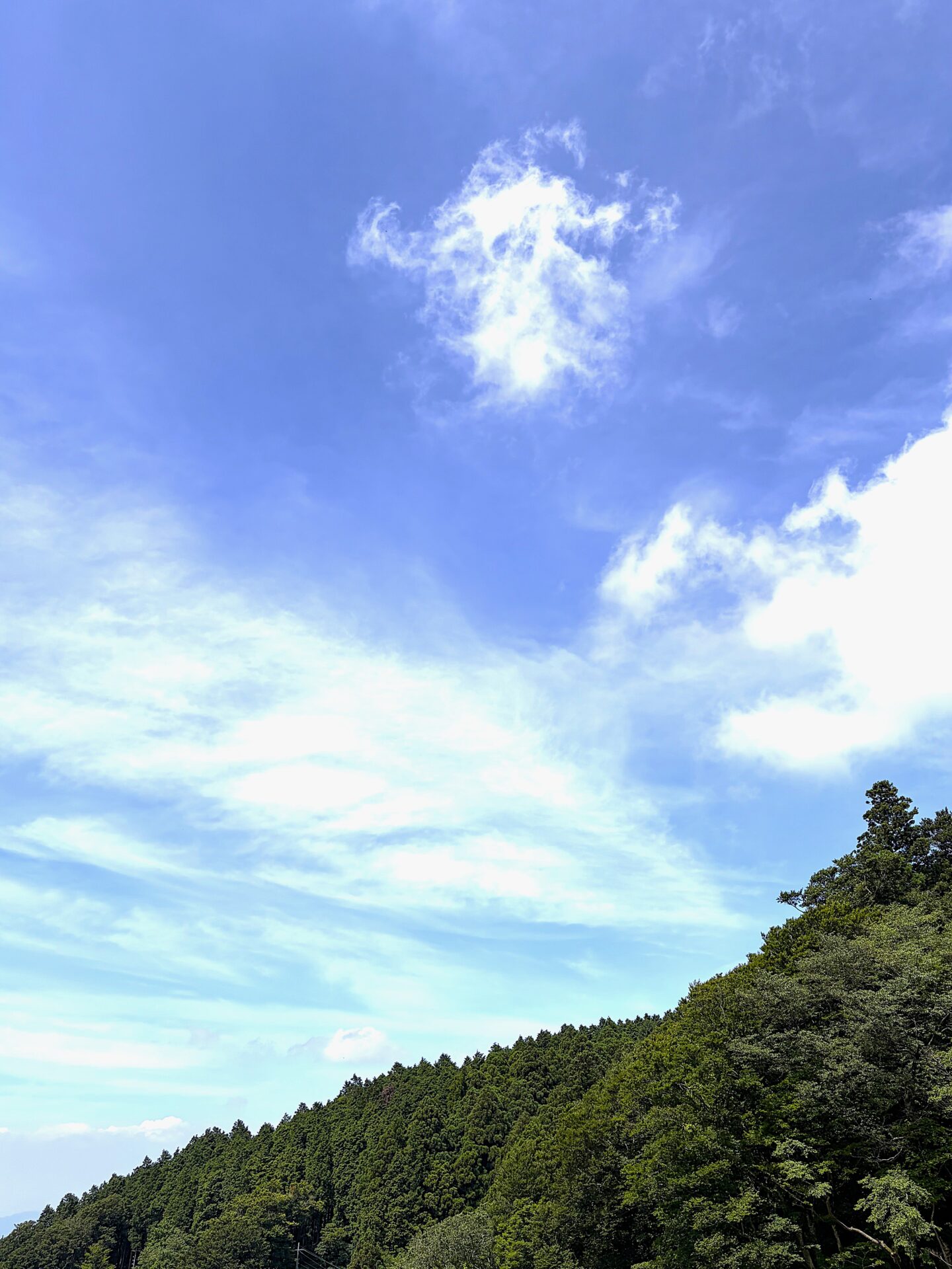 熱中症、「治った」あとが実は長い ― ある患者さんの回復記録から
